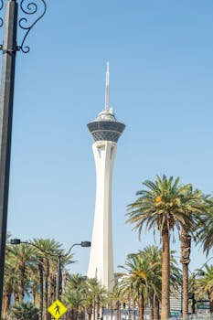 Spider Solitaire Älypää: Pelistrategiat Ja Voitot Suomessa